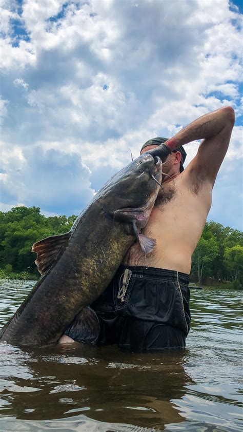 noodling definition catfish